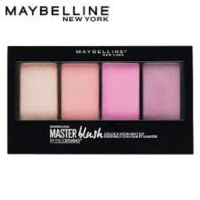 FS MASTER BLUSH : MASTER BLUSH 100