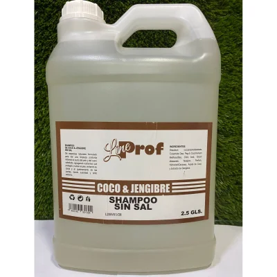 SHAMPOO L.P COCO Y JENGIBRE 2.5
