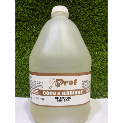 SHAMPOO L.P COCO Y JENGIBRE  1GL