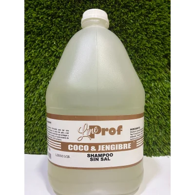 SHAMPOO L.P COCO Y JENGIBRE 1GL