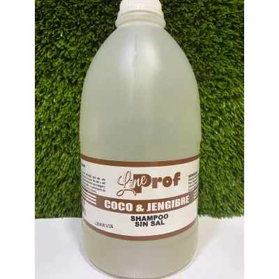 SHAMPOO L.P COCO Y JENGIBRE 1/2 GL